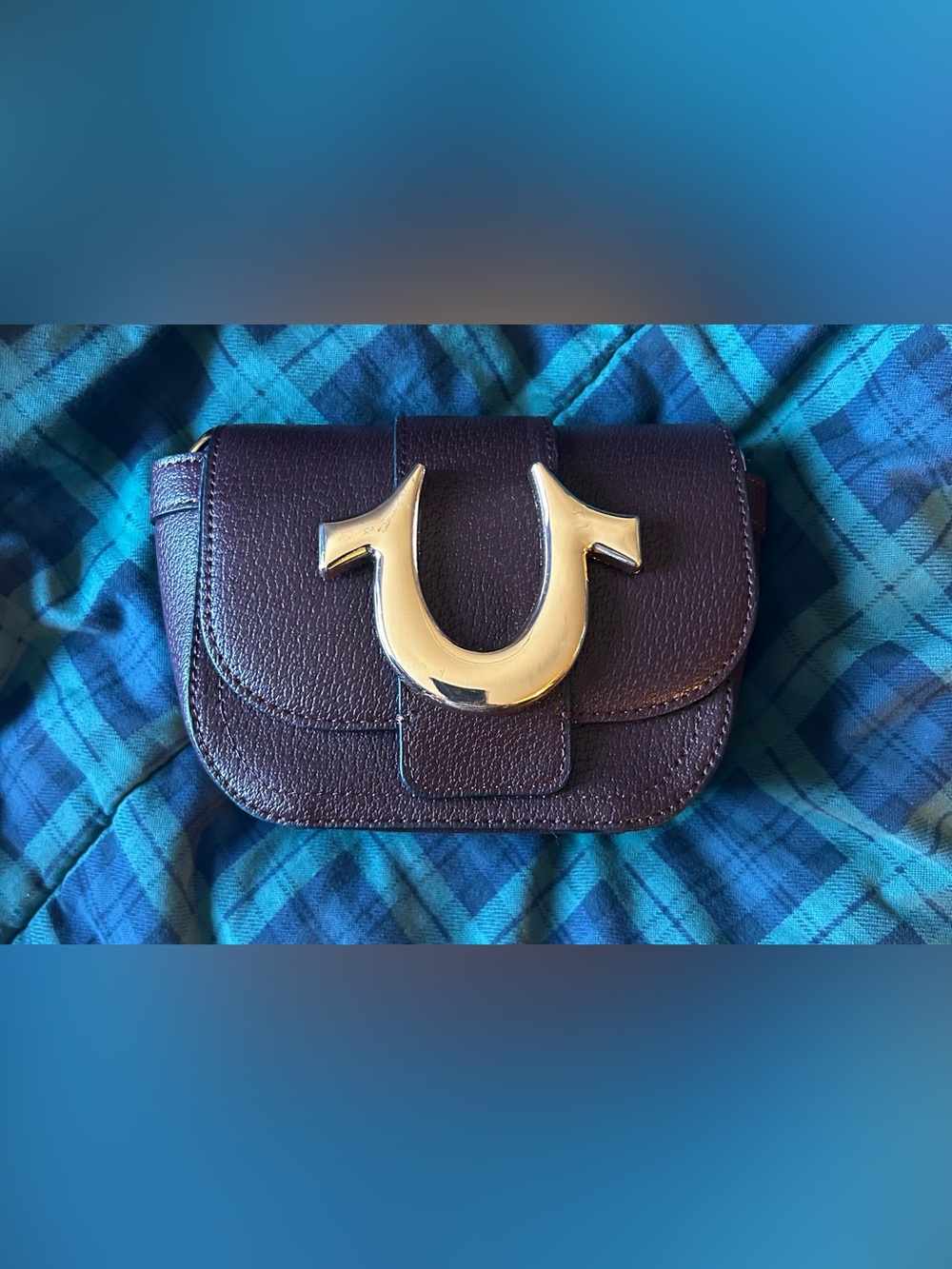 True Religion Gold-Tone Hardware Crossbody in Deep Plum